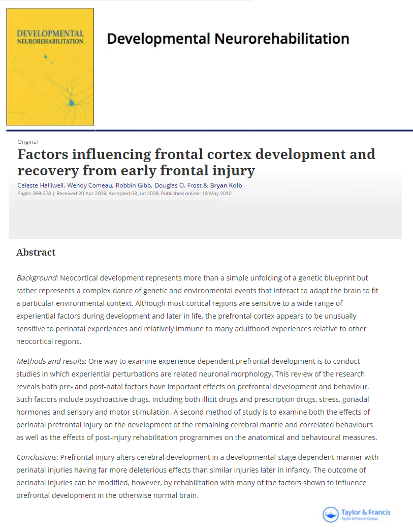 Factors influencing frontal cortex development and recovery from early frontal injury  micronutrients research